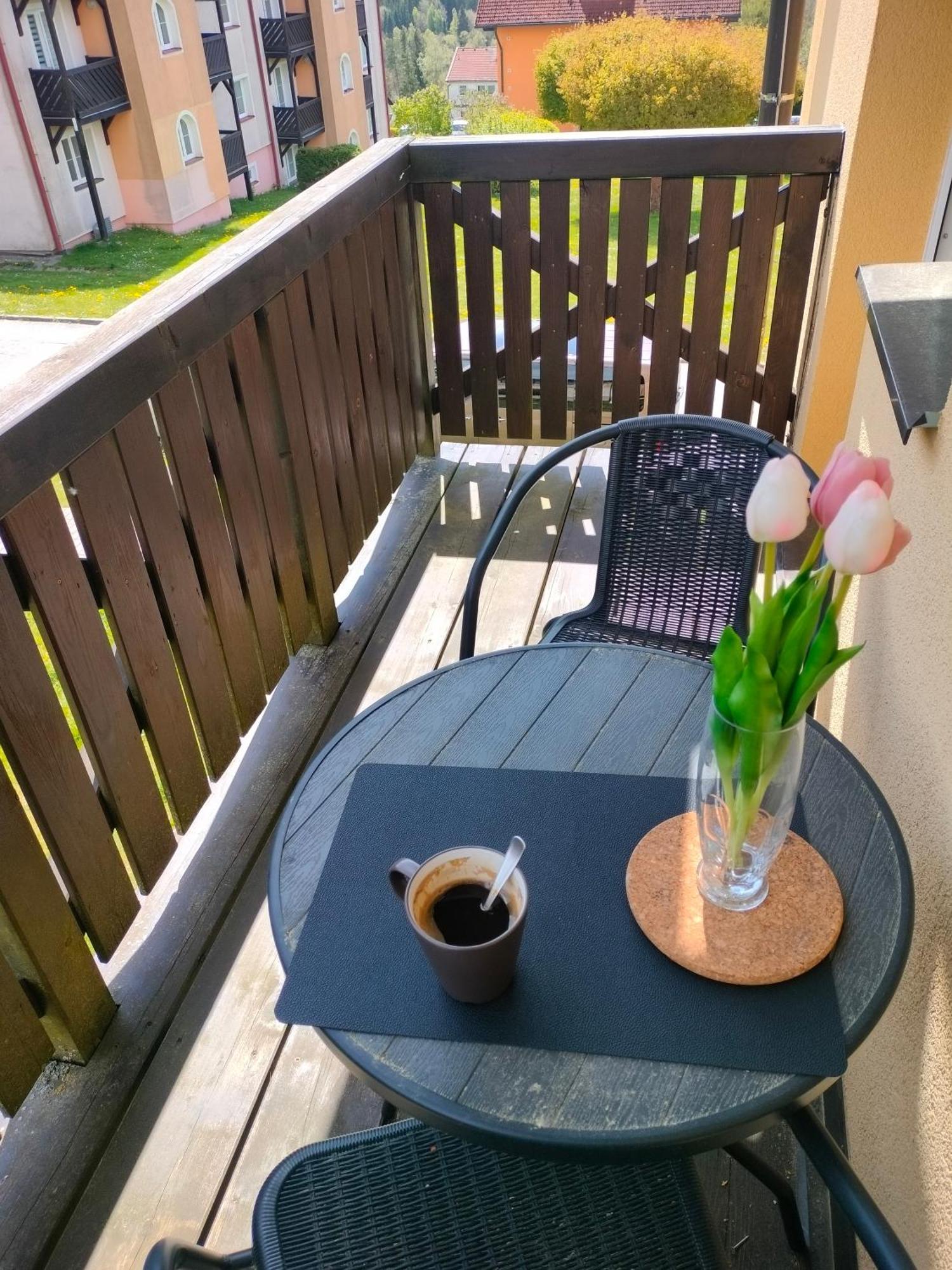 Apartman Aja - Lipno Nad Vltavou Exteriér fotografie